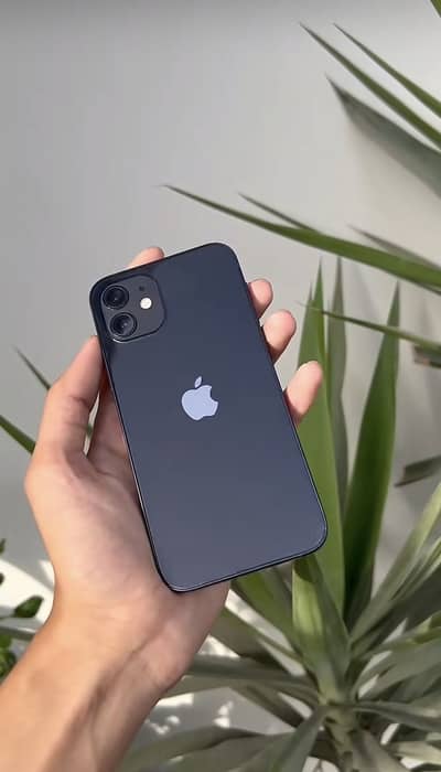 Iphone 12 with complete accessories