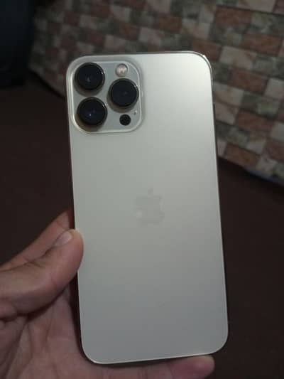 contact nmber 03161521638