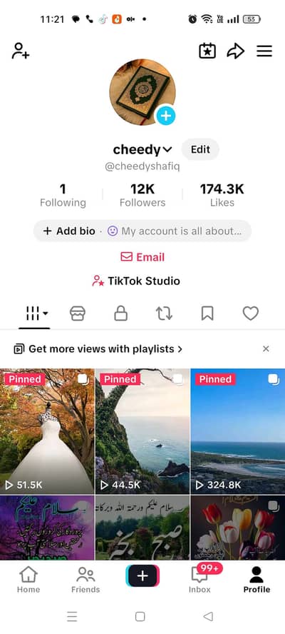 tik tok id
