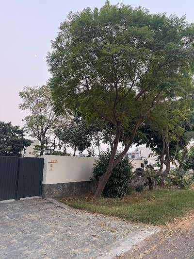 ONE KANAL HOUSE FOR RENT