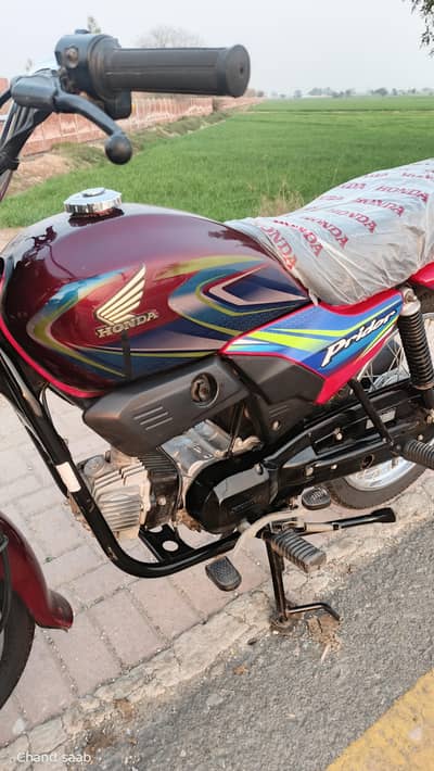 Honda pridor 24/25 open latter APL showroom condition bike,03396464638