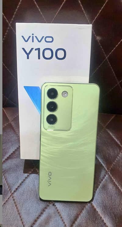Vivo y100 8+8/256