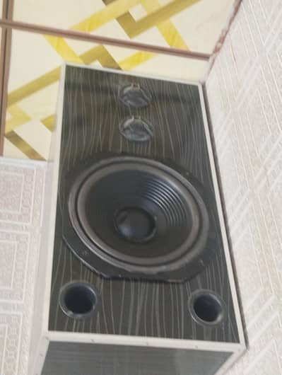 speaker 12 inch original
