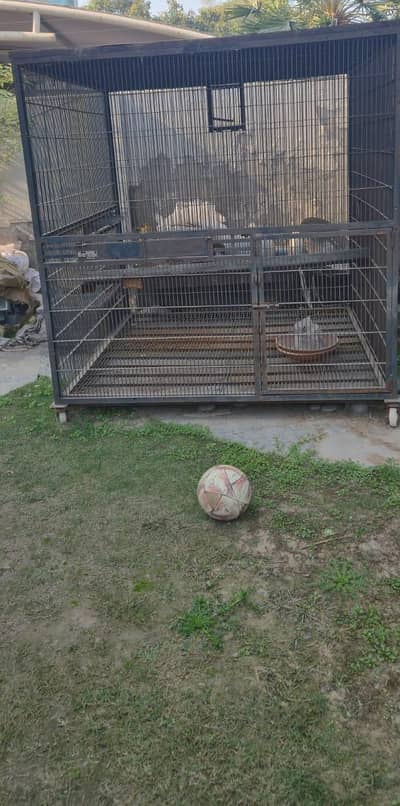 HUGE CAGE FOR SALE