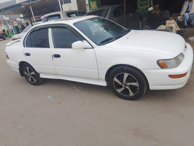 97 Model 21 Quota numper to bumper