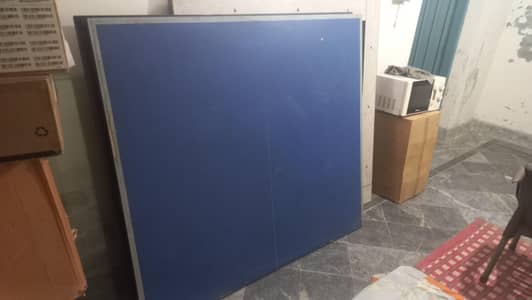 Table Tenis-See in picture