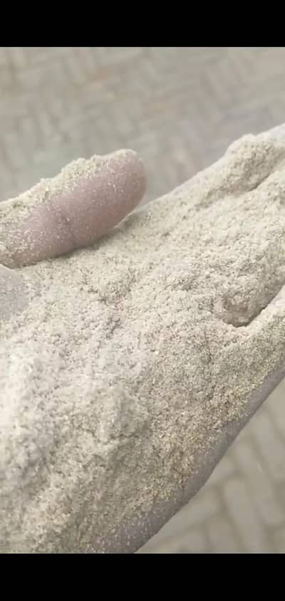 Makai Chokkar best rate