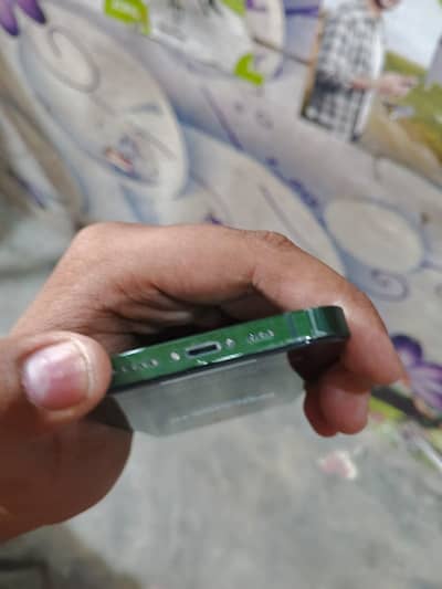 iPhone 13 Rear green