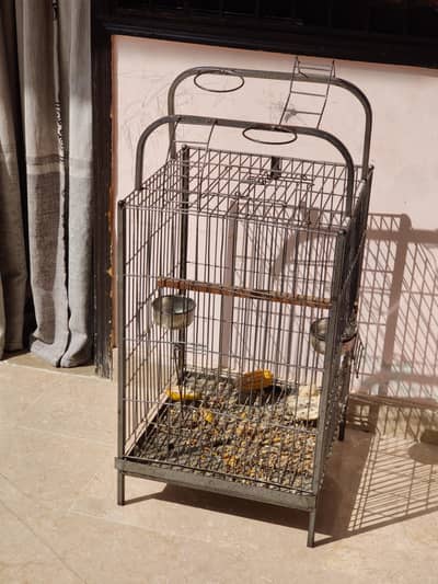 raw and grey parrot cage