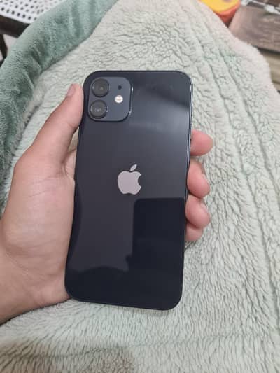 iPhone 12 Non Pta lush condition