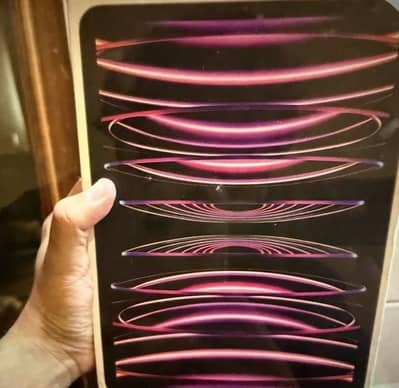 Apple iPad Pro M2 -93% Battery Health - Like Brand New!