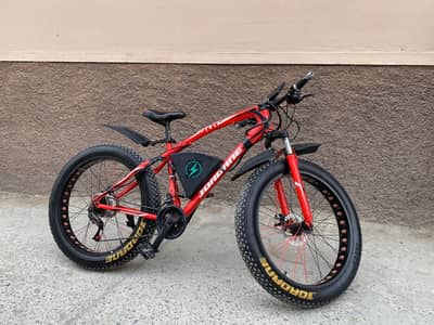 Fat tyre 24x6 Electric bicycle