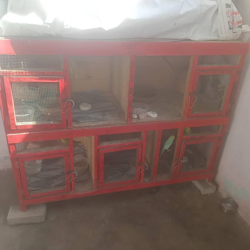 رنگ نیٹ کا بالکل بریڈر جوڑا فور سیل اور پورا سیٹ اپ بجز پور سیل 6