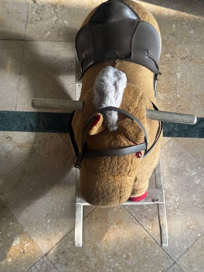 BOUNCERS/ SWING/ HORSE SWING/ KIDS RIDES