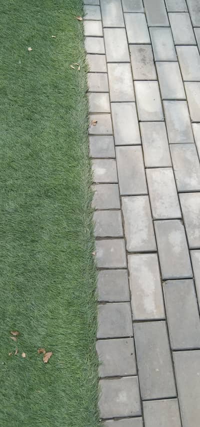 Double story building available for banks and multinational companies