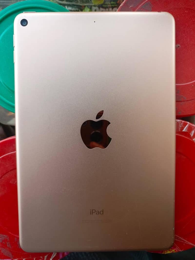 ipad mini 5 0