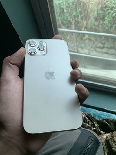 iPhone 12 Pro Max 256gb