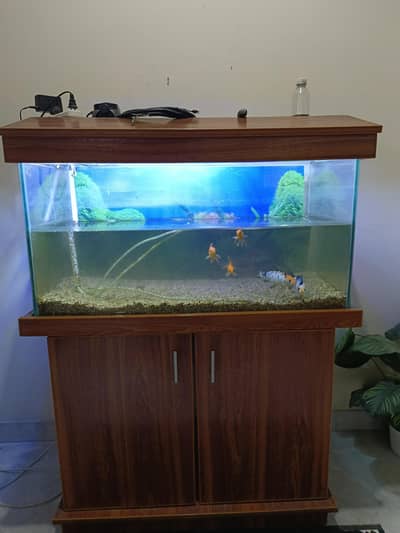 Aquarium + Fishes and Accessories