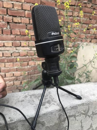 Pro sound podcast mic