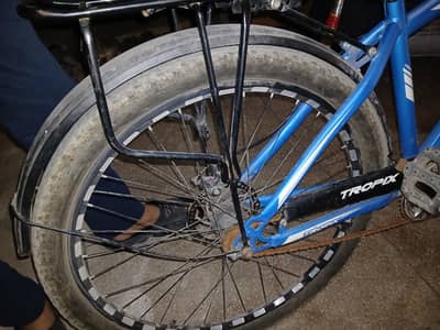 branded bicycles for adults