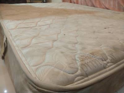 Master Celeste Spring Air Mattress 60 x 78 inches