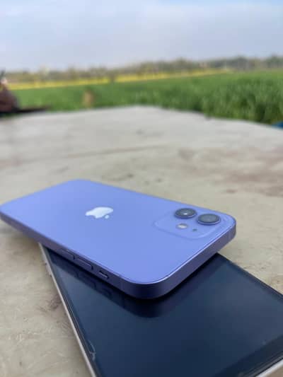 Apple iPhone 12 10/10 waterpack 64 gb