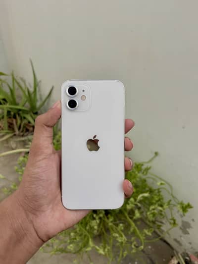 iPhone 12 jv 64GB brand new condition