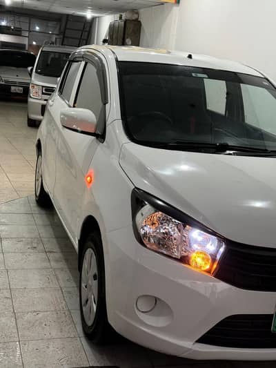 cultus 2019 Model Bumper to Bumper Genuine