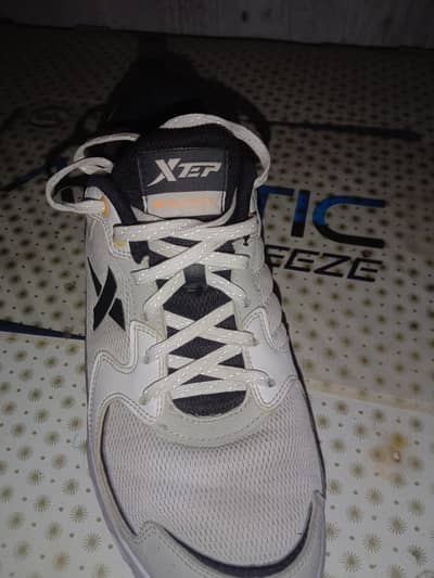 shoes American shoes 