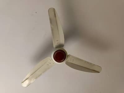 ceiling fan