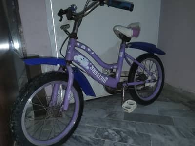 Imported Kids bicycle Shbeijia  brand