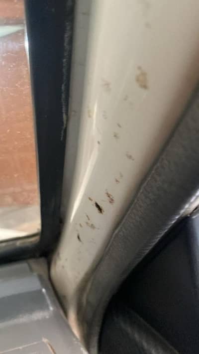 Suzuki Mehran VXR 2009