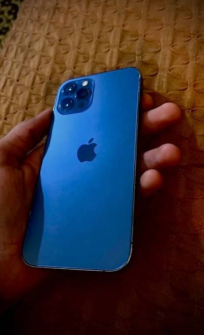 WHATSAPP NUMBER 03319613377