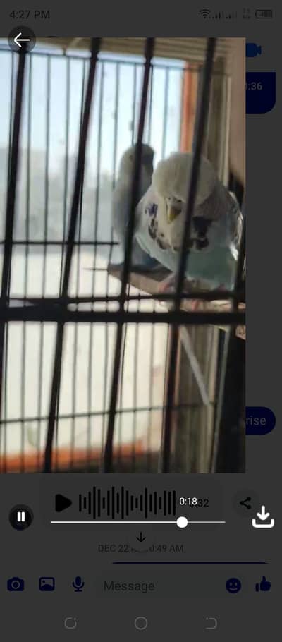 Top Class Excibation Female