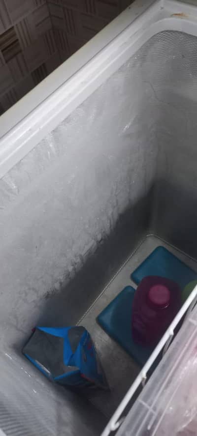 Dawlance 1-Door Deep Freezer – Excellent Condition!