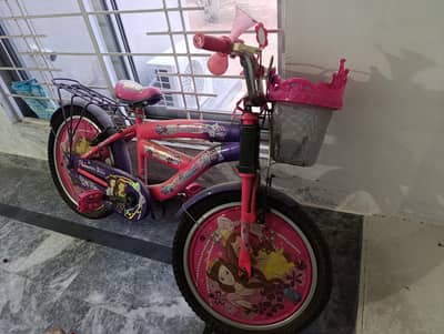 Excellent Bicycle Condition (Rare used)