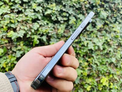 Pixel 9pro xl non pta