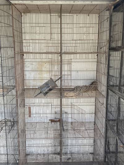 3 cages no tary only cages 1 cage price 7500