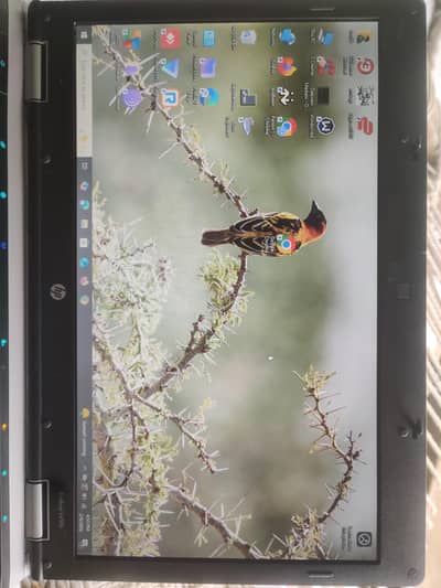 HP ProBook 6450b Core i5 Laptop for Sale