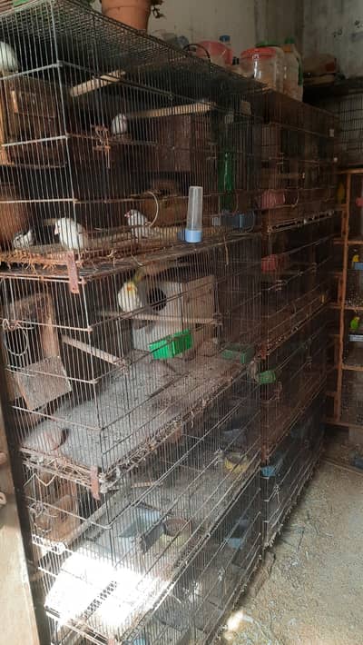 Sara set up sell krna hy