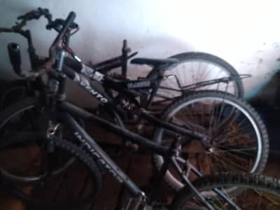 Bicycle for Sale