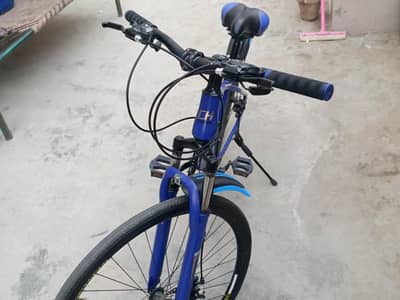Champion bicycle