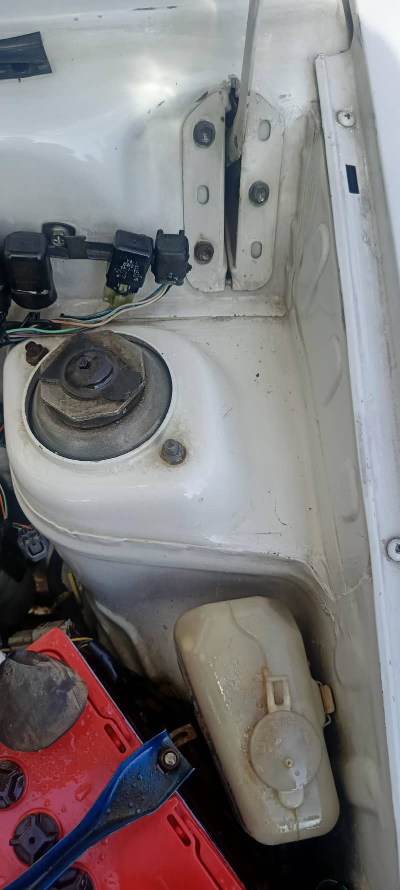 mehran call 03134406379 6