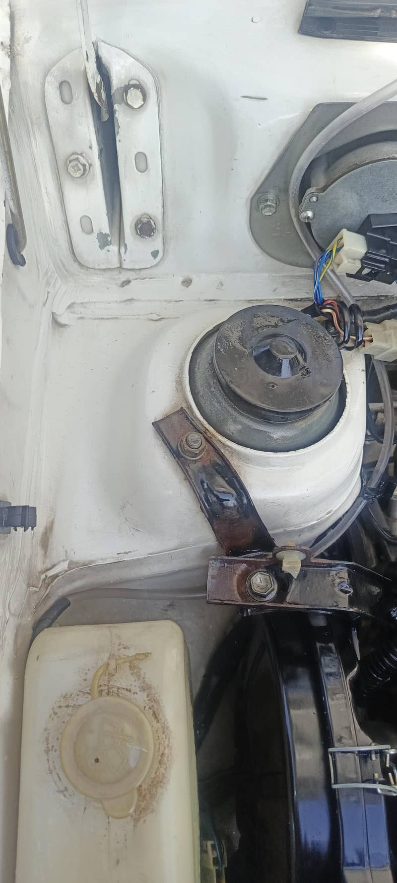 mehran call 03134406379 8