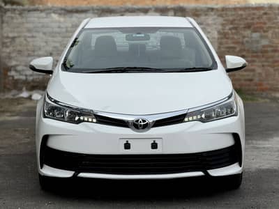 Antique Corolla Gli 2019