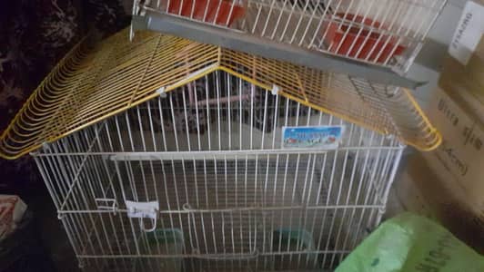 three  parrot      cage
