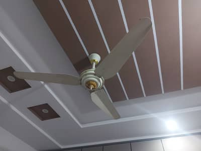 Pak Fan High Speed  Modern / stylish only one season used