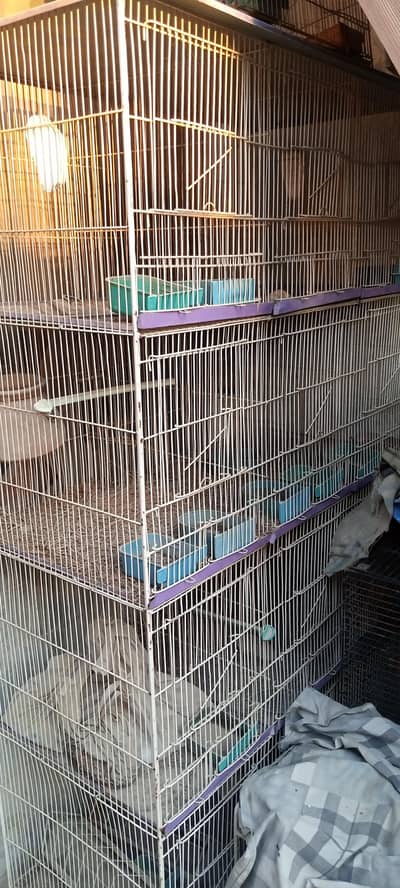 12 Portions Cage Available 8/10 Condition