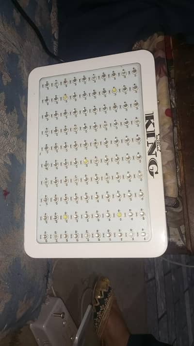 KING light 1000 wats color full for sale 2 color pink and blue