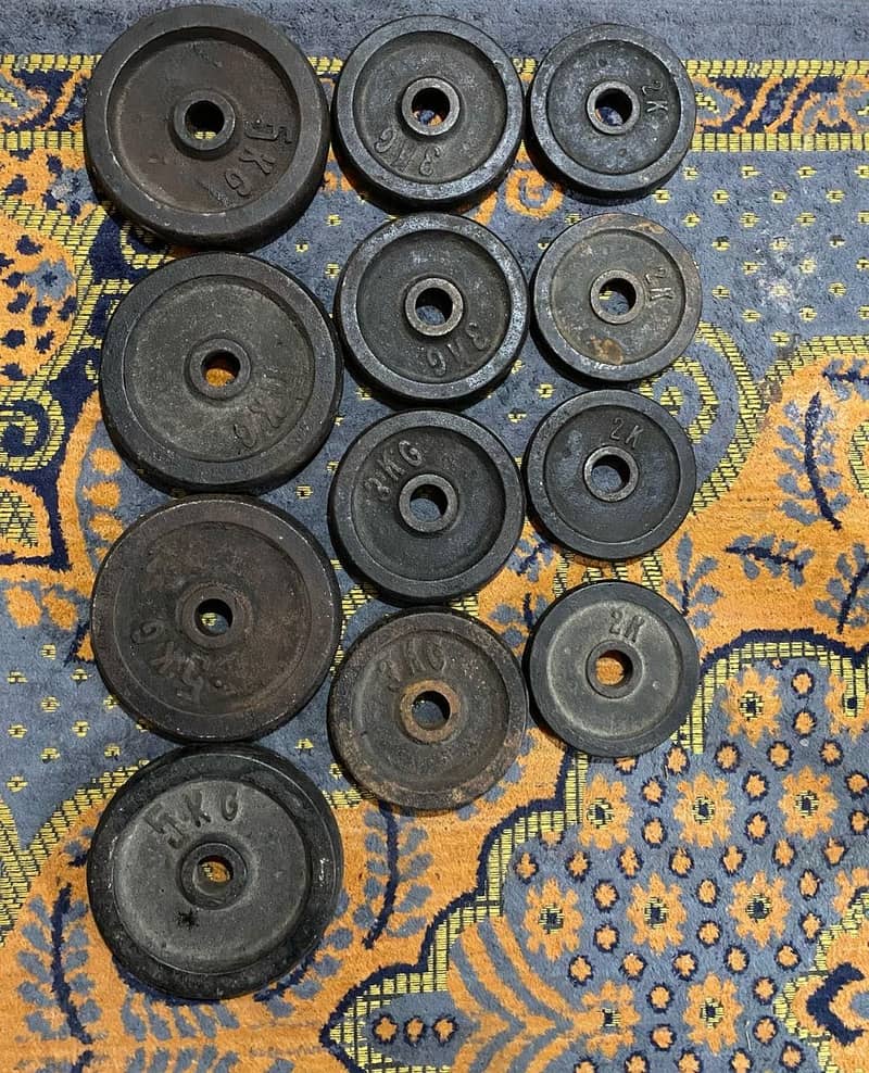 Dumbells, Weights, Bench, Wall Cable Machine 0